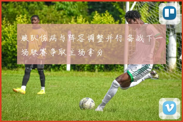 狼队伤病与阵容调整并行 备战下一场联赛争取主场拿分