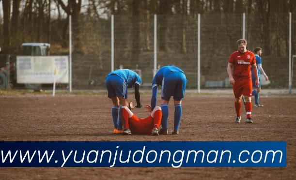 爱游戏ayx官方平台服务体系